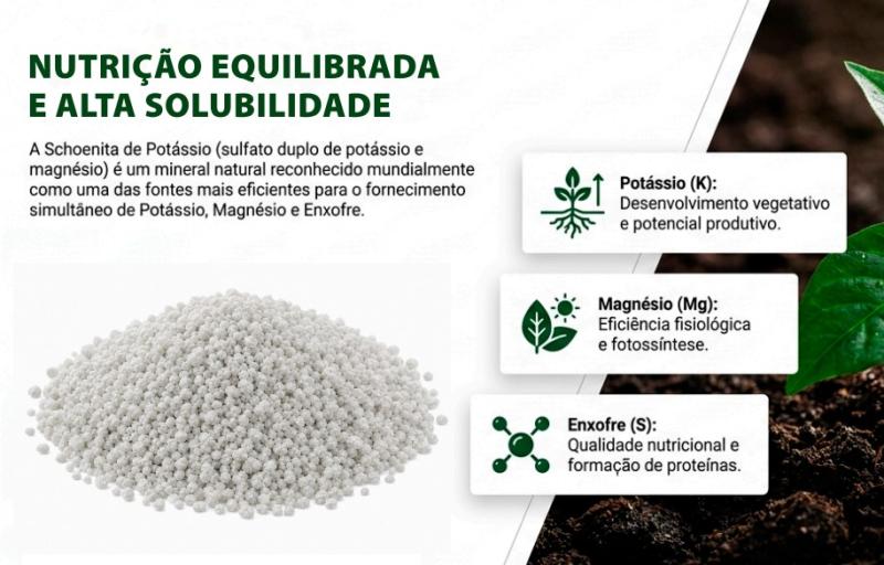 KCL ou Schoenita: Qual fertilizante reduz mais a salinização do solo?