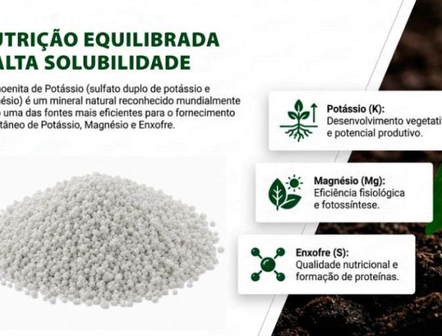 KCL ou Schoenita: Qual fertilizante reduz mais a salinização do solo?